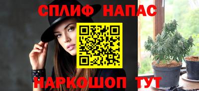 прущие грибы Бийск